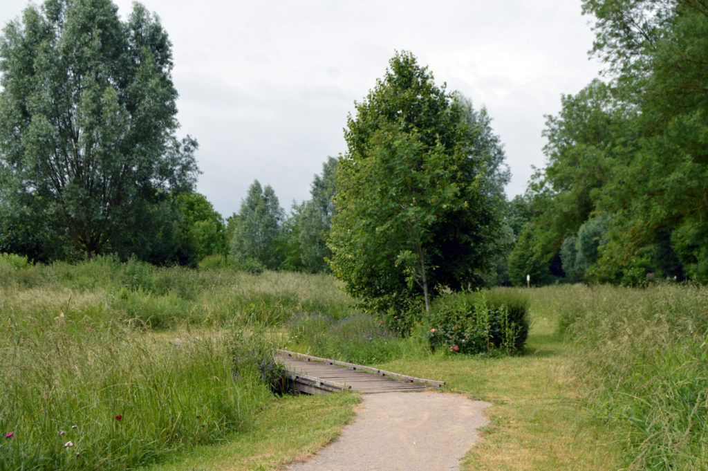 Parcours de santé du marais