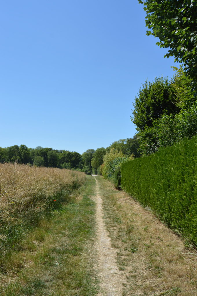 Chemin Salouël