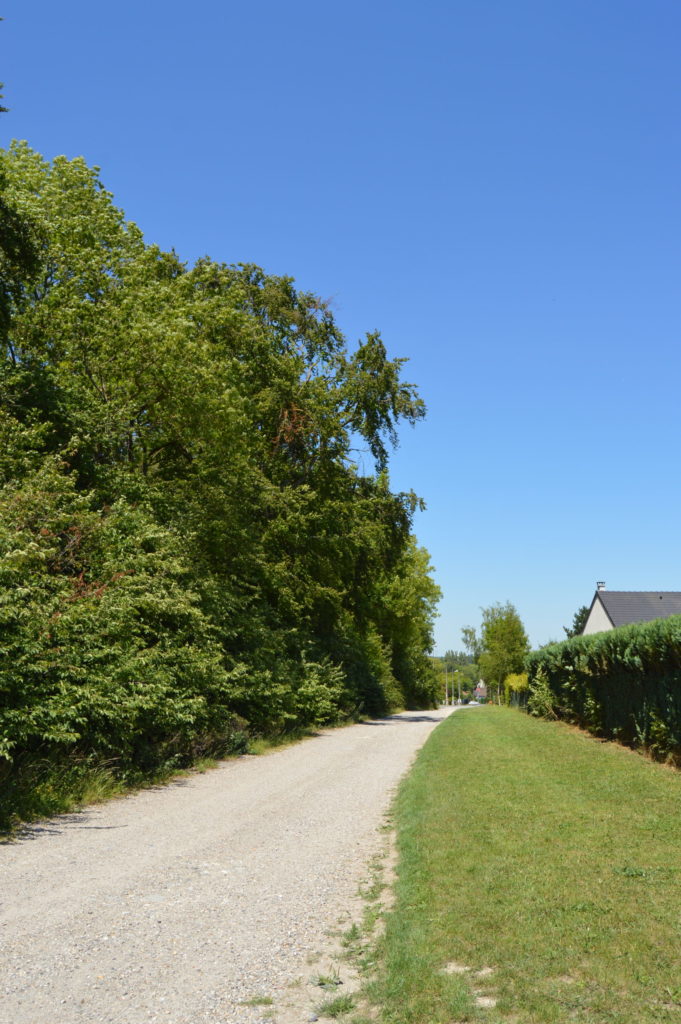 Chemin des fleurs à Salouël