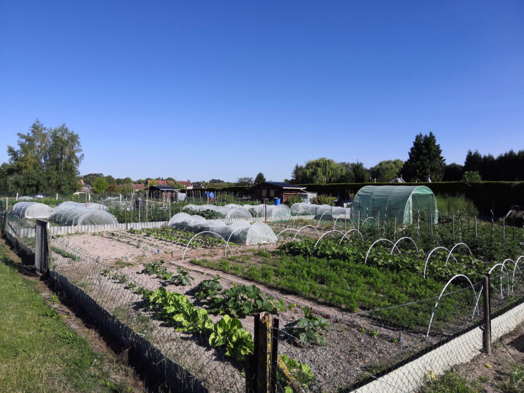 Jardins ouvriers de Salouël