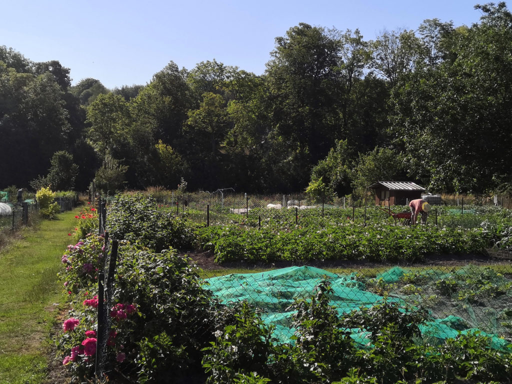 Jardins ouvriers de Salouël