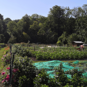 Jardins ouvriers de Salouël